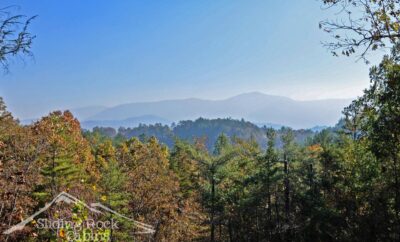 Fall in North Georgia: A Local Guide to Ellijay, Blue Ridge, Apple Season & Fall Color