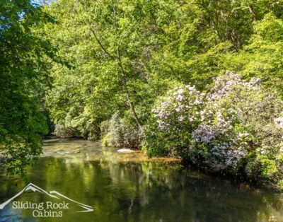 River Ritz