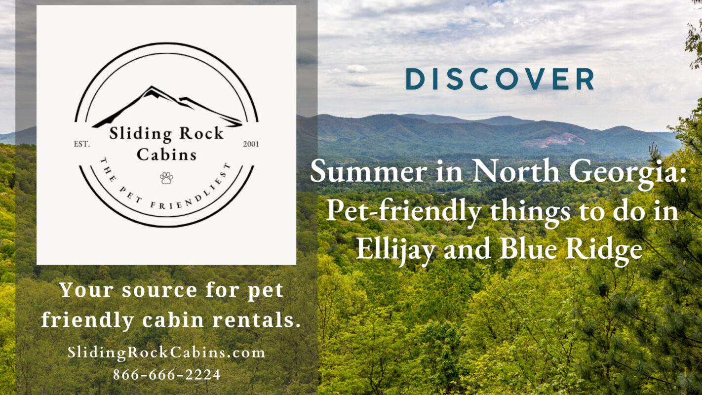 Summer in North Georgia - Pet-Friendly Things to Do in Ellijay ...