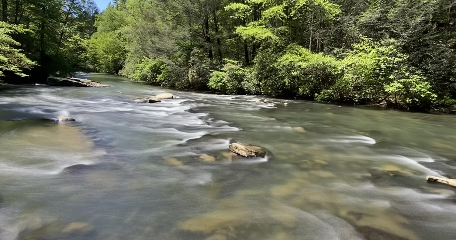 Pet friendly cabin in North Georgia Dog friendly cabin Blue Ridge GA Sliding Rock Cabins mountain view